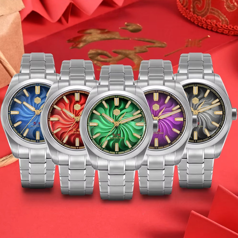 San Martin Watches for Men 39mm Stainless Steel – SN0144 GX6 Limited Edition